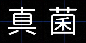 真菌